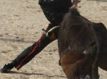 Capea Zorita del Maestrazgo