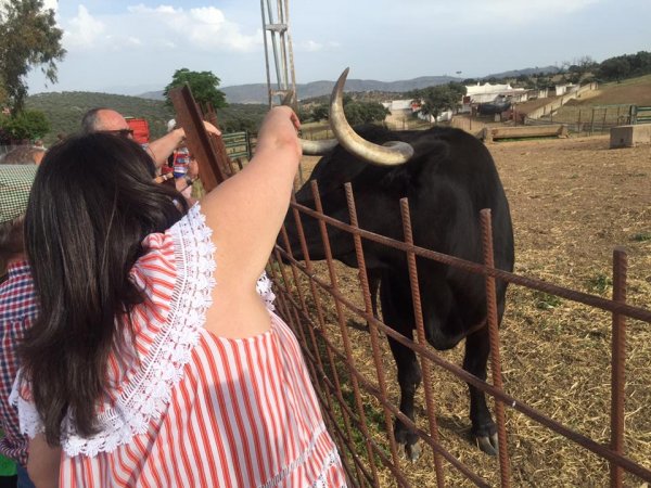 Capeas Santiesteban del Puerto