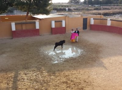 Capea Torres Cotillas