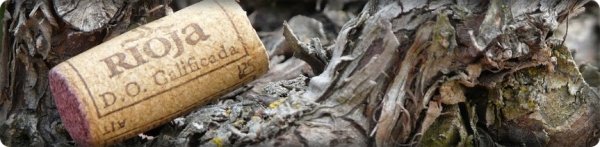 Despedidas Soltero La Rioja