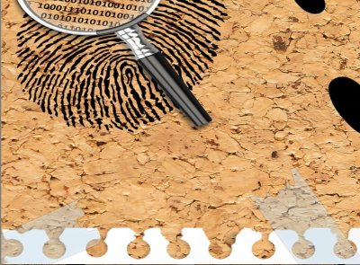 Gymkanas Cluedo Murcia