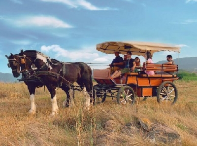 Paseo Carruaje Logroño