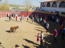 Capeas en Ciempozuelos