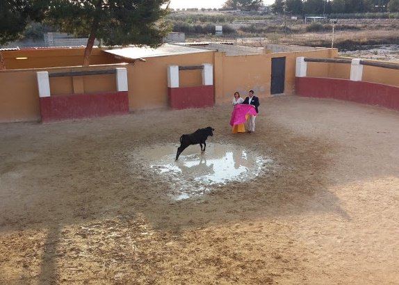 Capea Torres Cotillas