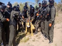 Super Pack Salamanca