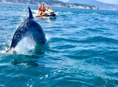 Motos Agua San Sebastian