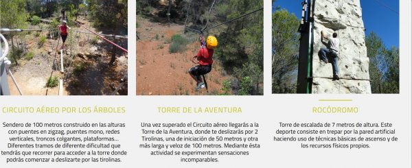 Actividades y Descripcion