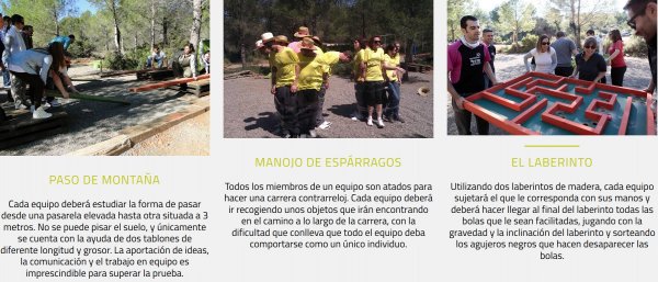 Actividades y Descripcion