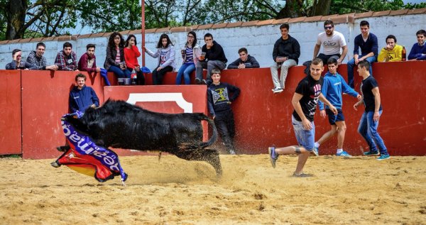 Capeas en Valladolid