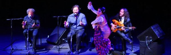 Restaurante Flamenco Madrid