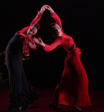 Bailaora Flamenca Rebeca